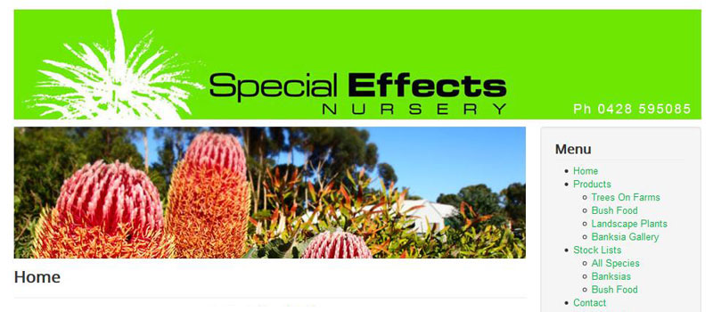 Special Effects Nursery
